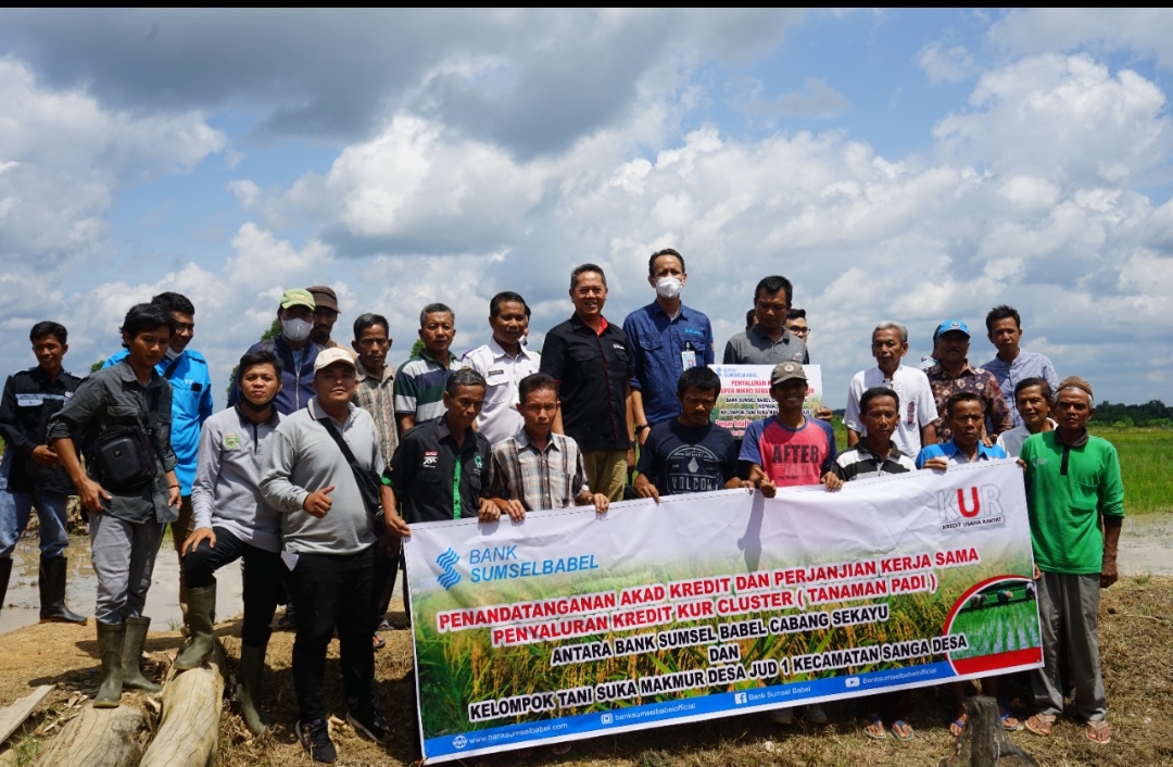 Pendatangan KUR cluster tanaman Padi kelompok Tani Suka Makmur