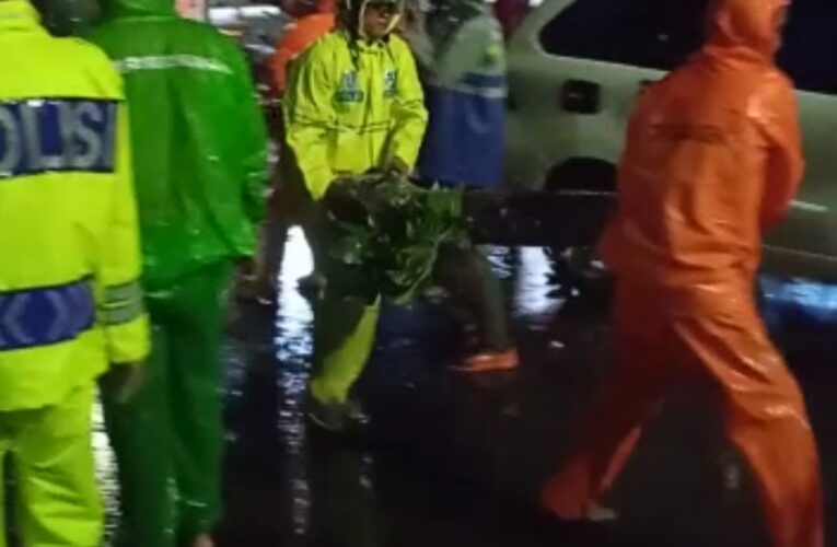 Sigap, Satlantas Polres Muba Bantu Evakuasi Pohon Tumbang Tutupi Jalan Protokol