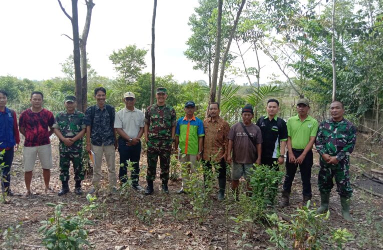 Manfaatkan Lahan Tidur, Kodim 0401/Muba Bersama Dinas TPHP Tinjau Lokasi Persawahan