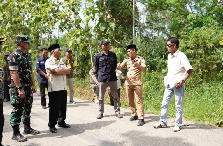 Pj Bupati Apriyadi Tinjau  Jalan Desa Tanjung Raya