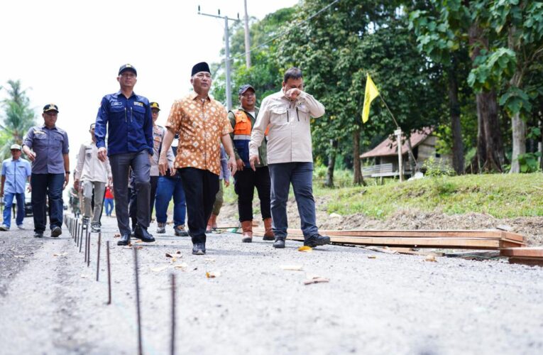 Pj Bupati Muba H Apriyadi Mahmud Pastikan Pembangunan Jalan Desa Sesuai Target