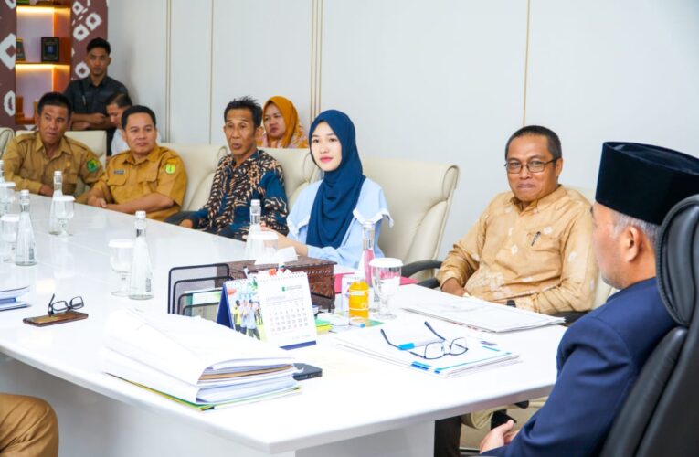 Keren! Mahasiswa Asal Muba Lolos Program IISMA ke Irlandia