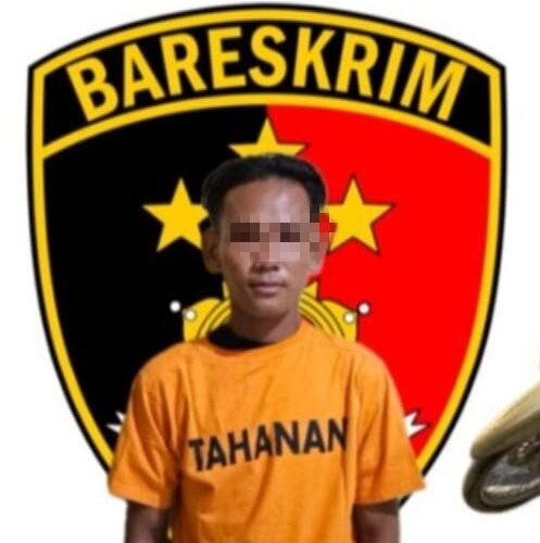 Jeli Penyidik unit Reskrim Polsek Babat Toman Apa itu ?