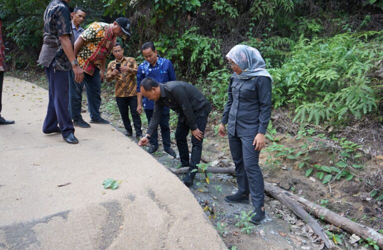 Sugondo Tinjau Pembangunan  Jalan di Desa Suka Jaya