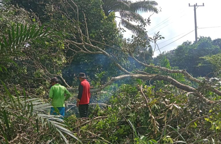 Warga Desa Nusa Serasan Antusias Bersihkan Tanam Tumbuh Dekat Jaringan PLN