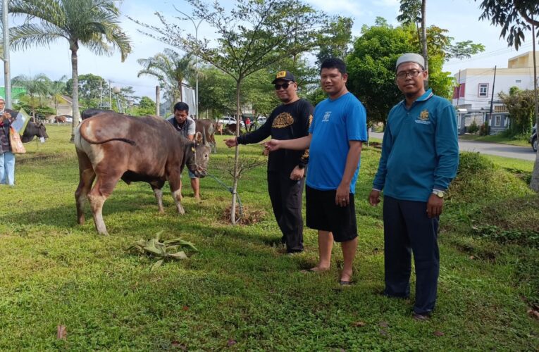 Menyambut Idul Adha 1445 HPDAM Tirta Randik Saluran Hewan Kurban