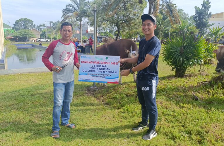 Sambut Hari Raya Idul Adha 1445 H Bank Sumsel Babel Cabang Sekayu Salurkan Hewan Kurban