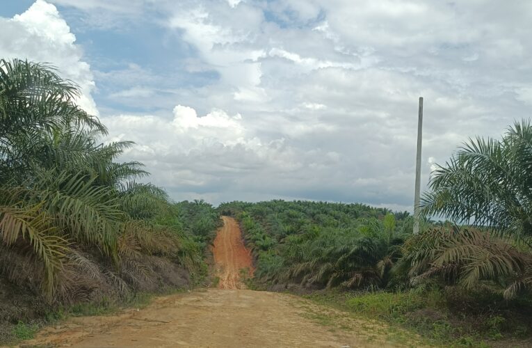 Warga Desa Pangkalan Bayat Harapankan Aliran Listrik dan Jalan cor beton