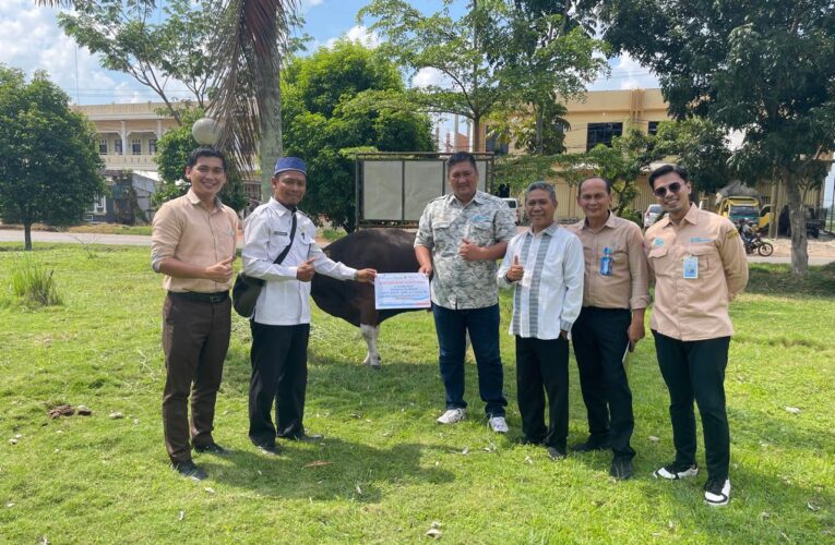 Bank Sumsel Babel Cabang Sekayu Salurkan Hewan kurban,Kesrah Apresiasi