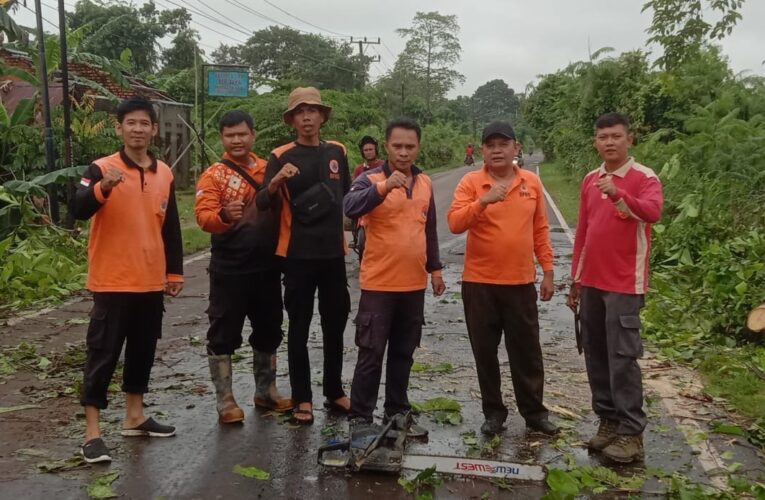Tim Gabungan Bergerak Cepat Evakuasi Pohon Tumbang di Sekayu, Bupati HM Toha Apresiasi Respons Sigap
