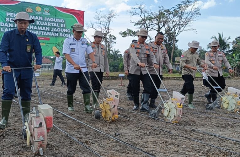 113 Hektar lahan Dari kabupaten Musi Banyuasin mendukung program swasembada pangan nasional