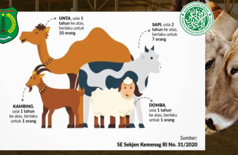 Jangan Mengunakan Kantong Plastik Bagi hewan kurban???
