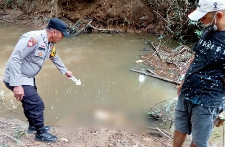 Dua Minggu Menghilang, akhirnya ditemukan Tak bernyawa