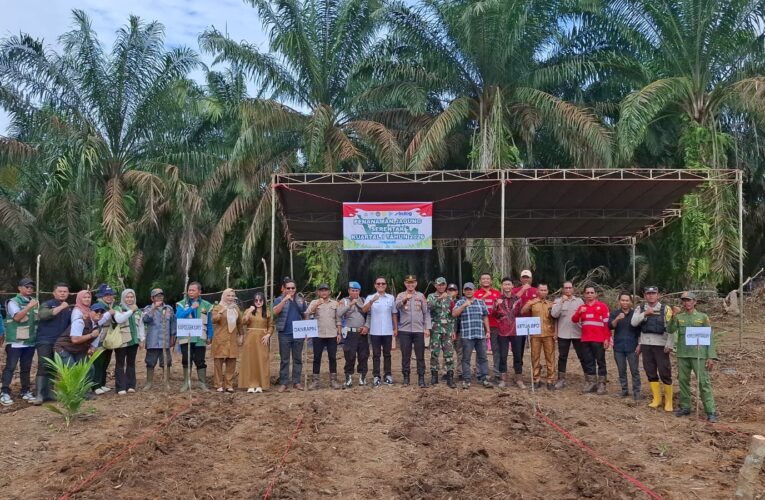 Sinergi Lintas Sektor di Muba: Polsek Lais dan PTPN Kolaborasi Dukung Kelompok Tani Tanam Jagung Hibrida