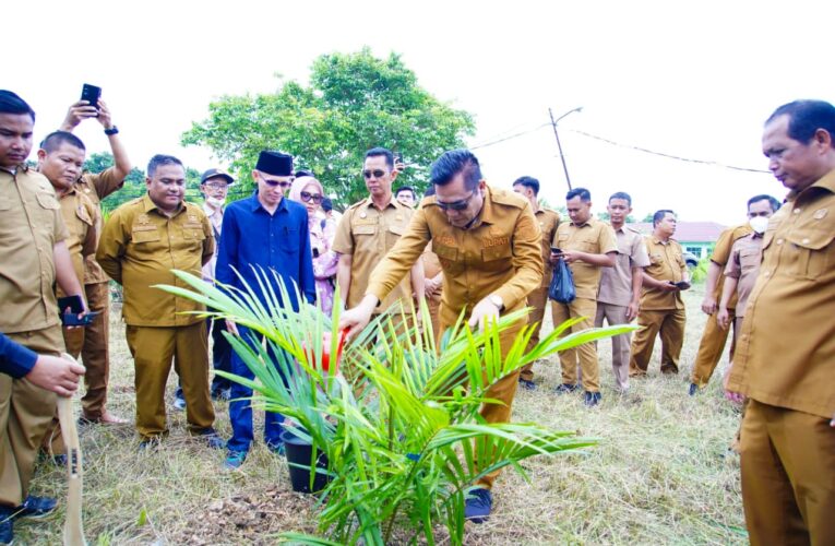 Pemkab Muba Optimalkan Aset Tak Terpakai, Tanam Sawit dan Tebar 10 Ribu Benih Lele