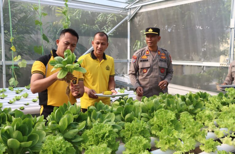 Kreatif! Polres Muba Manfaatkan Lahan Kosong demi Ketahanan Pangan dan Pemenuhan Gizi